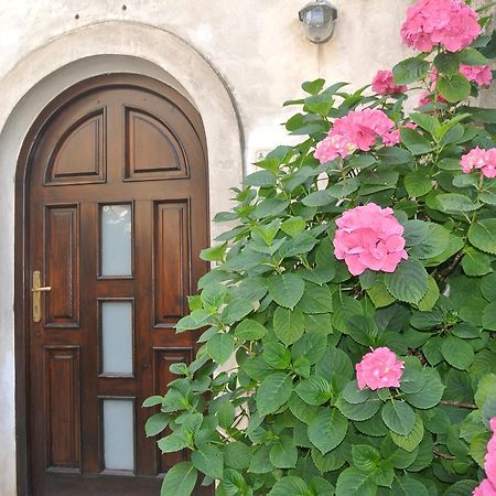 B&B Casa Antonia Trentinara Bagian luar foto