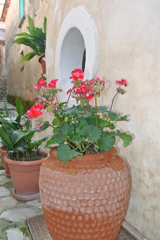 B&B Casa Antonia Trentinara Bagian luar foto