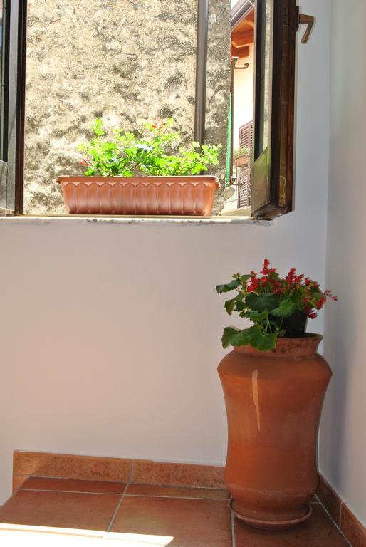 B&B Casa Antonia Trentinara Bagian luar foto