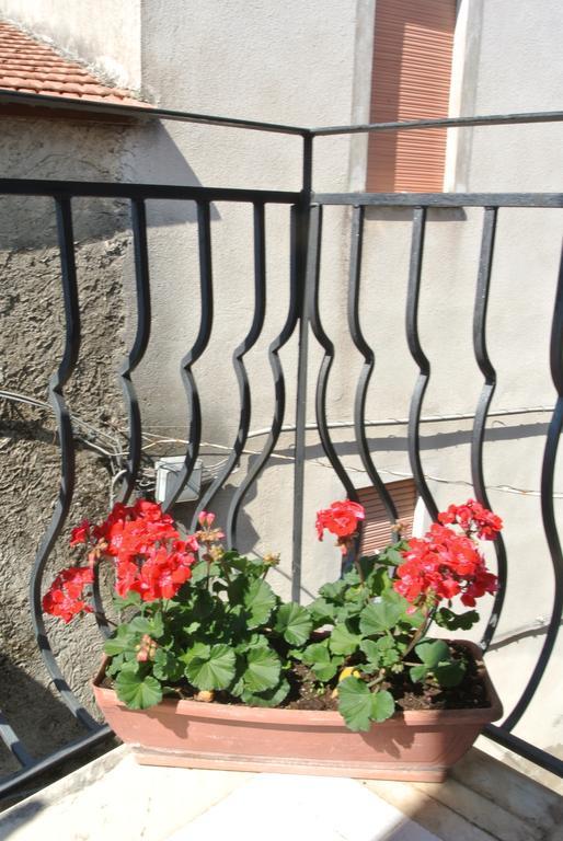 B&B Casa Antonia Trentinara Bagian luar foto