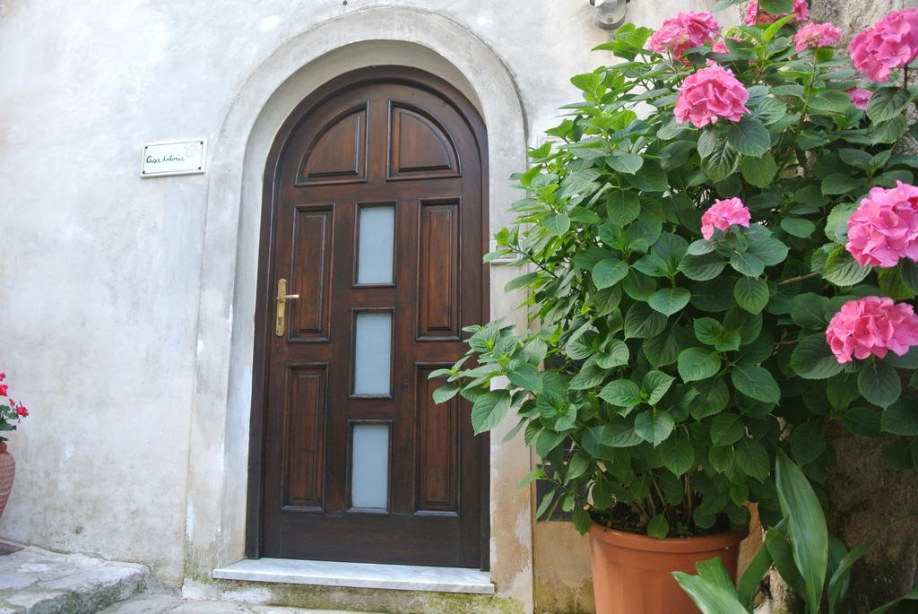 B&B Casa Antonia Trentinara Bagian luar foto
