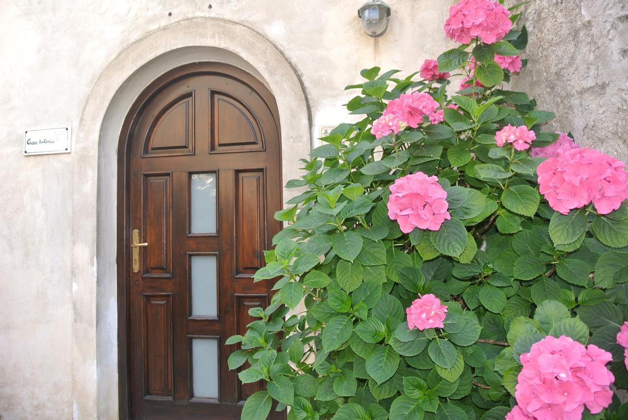 B&B Casa Antonia Trentinara Bagian luar foto
